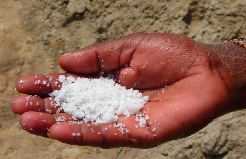 how to kill weeds organically main