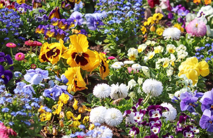 how to keep grass out of flower bed