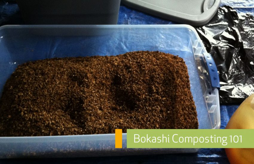 Bokashi Composting How To Main