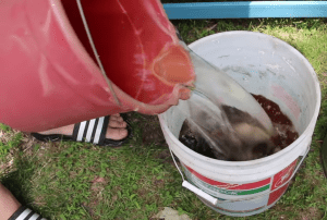 best compost fruits vegetables dilute leachate
