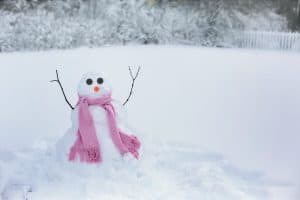 snowman in cold