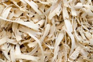 composting cat litter pine wood shavings